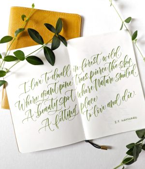 Brush Calligraphy: Intermediate One-Day Workshop