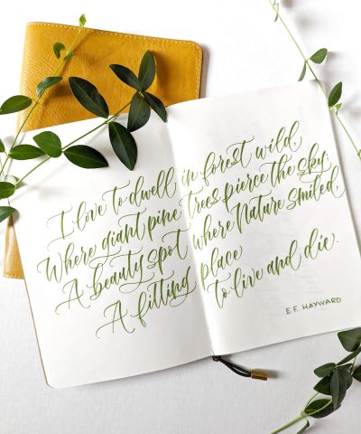 [Weekend Workshop] Brush Calligraphy: Intermediate