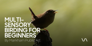 Promotional image for 'Multi-Sensory Birding for Beginners' by Markham Public Art, featuring a bird perched on a tree stump, singing, with the Varley Art Gallery logo at the bottom right.