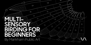 Promotional graphic for 'Multi-sensory Birding for Beginners' by Markham Public Art, featuring a stylized illustration of bird feathers arranged in overlapping pattern, with numerical annotations. 