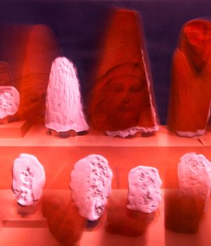 Lunch and Learn with Sameer Farooq