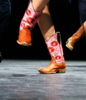 Fundraiser: Boots for Art