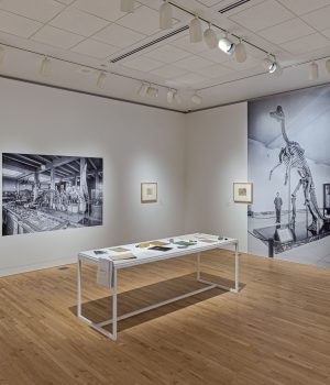 Sketching the Past: A Hands-On Dinosaur Experience