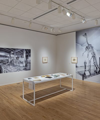 Sketching the Past: A Hands-On Dinosaur Experience