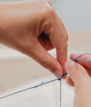 First Stitches Hands-on Sewing Workshop