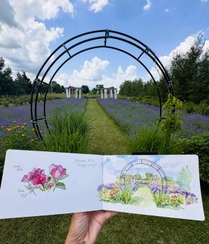 [NEW! 3-Week Art Class] Watercolour: Landscapes