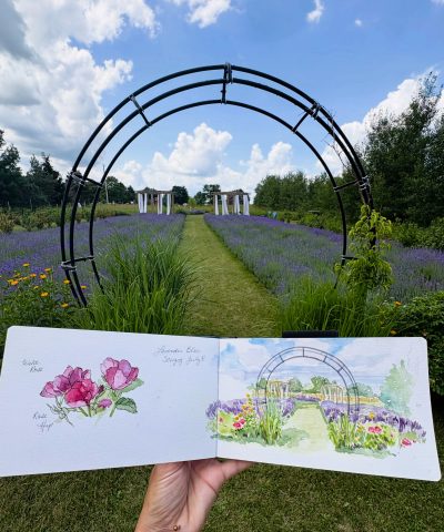 [NEW! 3-Week Art Class] Watercolour: Landscapes