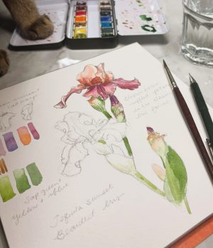 [NEW! 3-Week Art Class] Watercolour: Botanical Florals