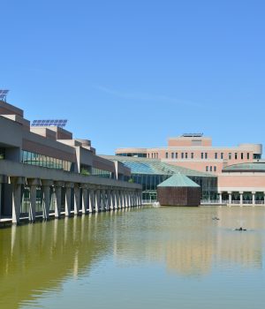 Lunch and Learn: Public Art at the Markham Civic Centre